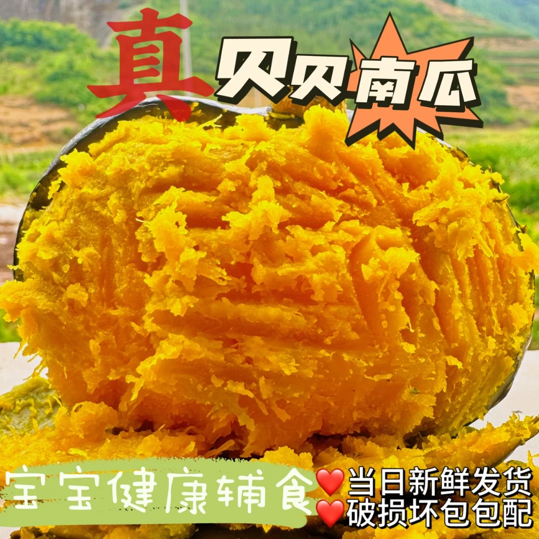 (坏瓜包赔)新鲜采摘沙地贝贝南瓜粉糯香甜带箱5斤不粉包赔4-8个