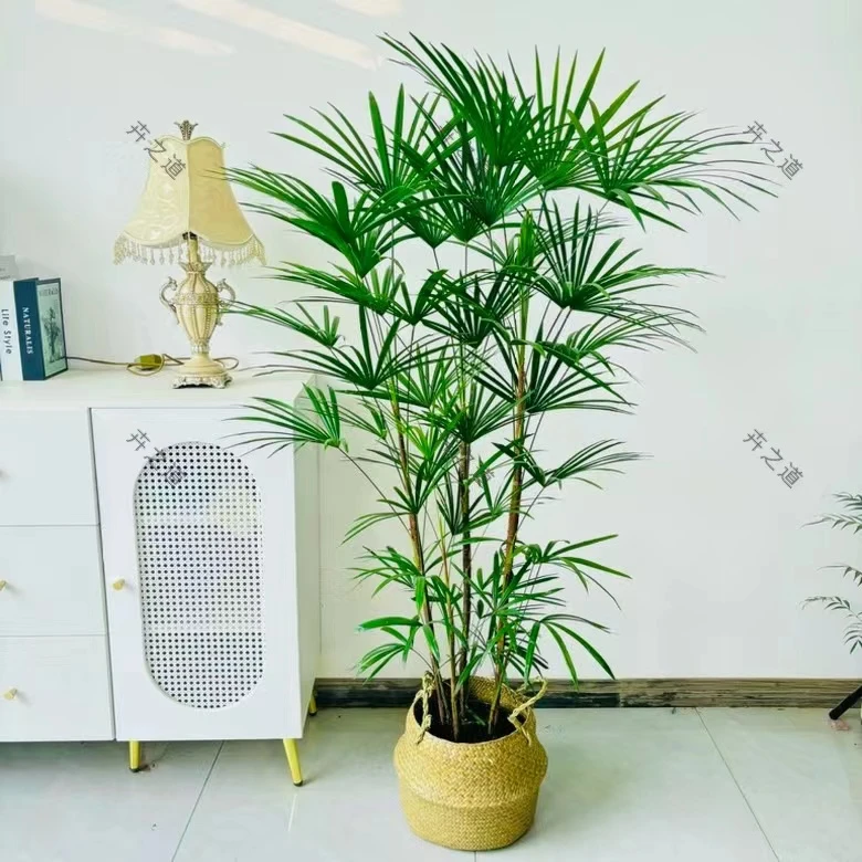 细叶棕竹金山棕室内植物客厅落地植物办公室盆栽耐寒绿植