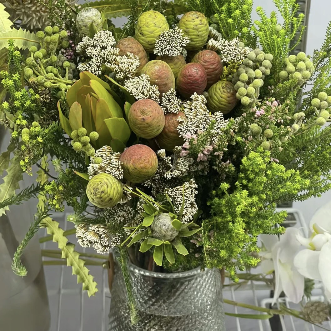 【郑郑优选】南非花材果子花束 昆明发货