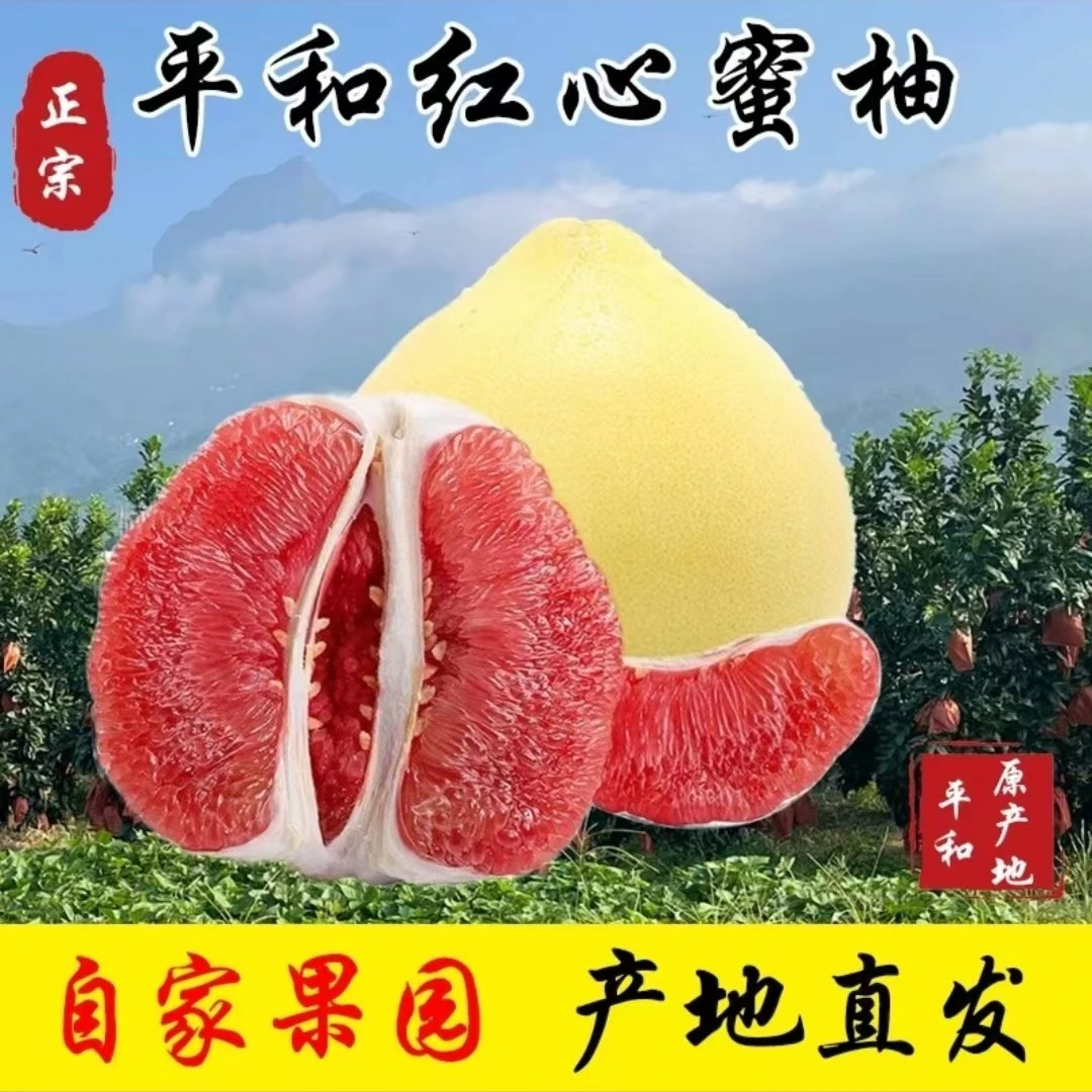 【琯溪蜜柚】正宗福建平和琯溪红心蜜柚果园新鲜采摘4.5-8.5斤装