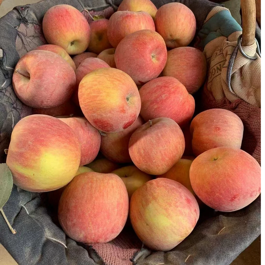 阿克苏冰糖心苹果十斤包邮