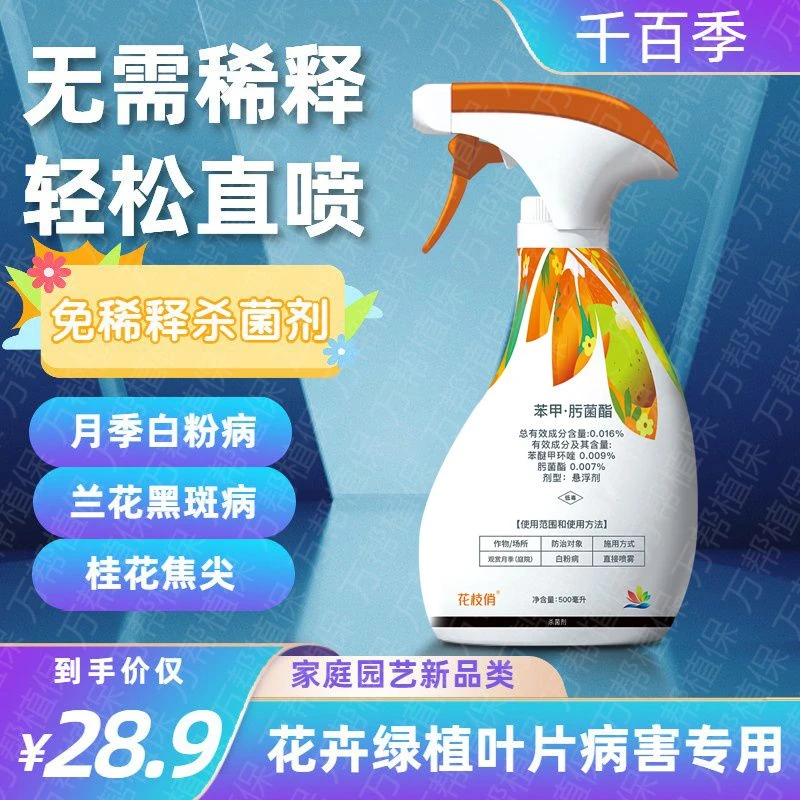 千百季花枝俏杀菌剂免稀释月季黑斑白粉病黄叶干尖兰花通用营养液