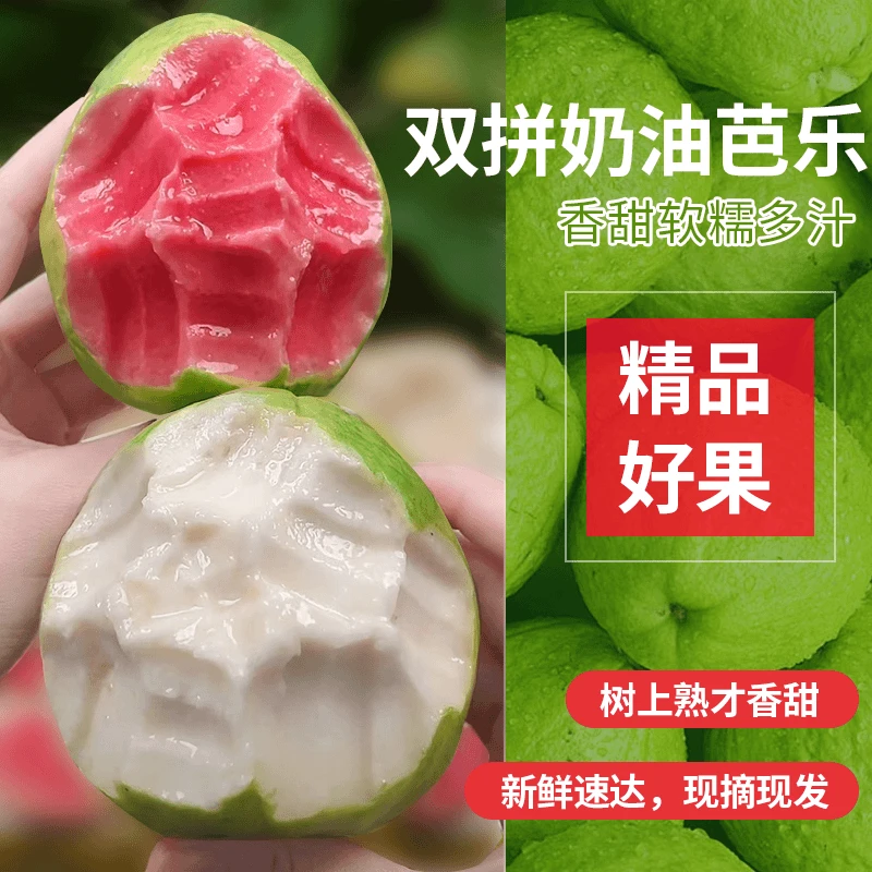 3-5斤 双拼奶油芭乐香甜软糯广西番石榴新鲜采摘产地发货送酸梅粉