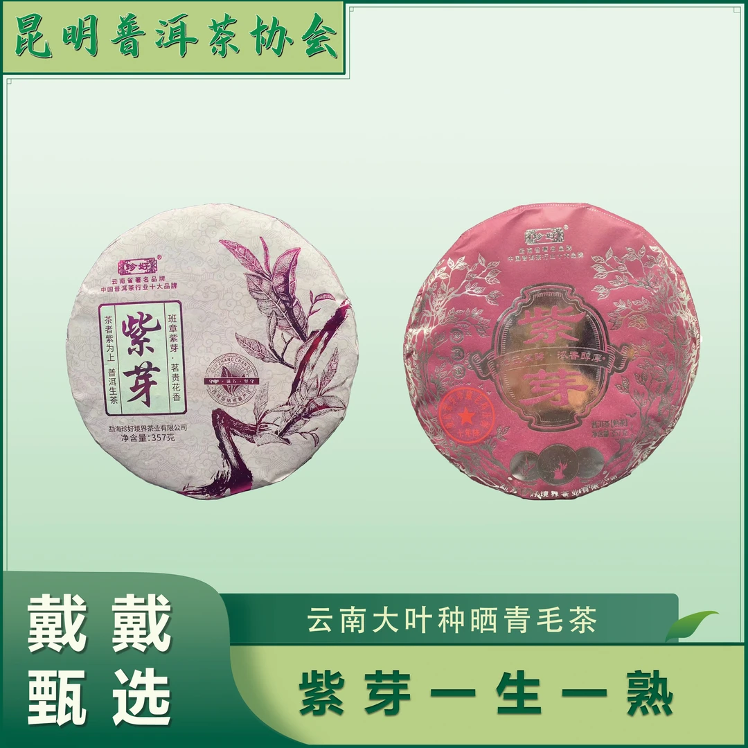 【戴戴甄选】紫芽 普洱茶  一生一熟   357g/饼*2   2023年