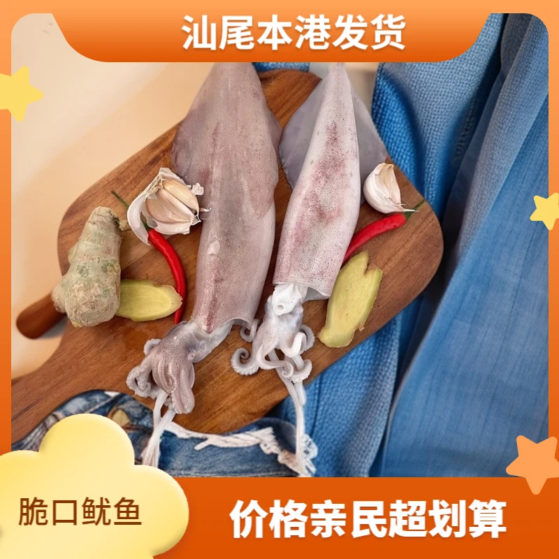 【信合】汕尾本港海捕灯照新鲜鱿鱼脆口不缩水 纯天然海鱼 3/5斤