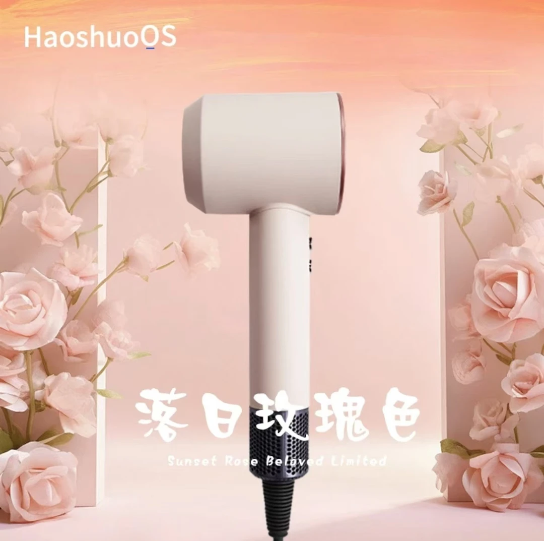 落日玫瑰家用负离子高速吹风机速干护发不伤发