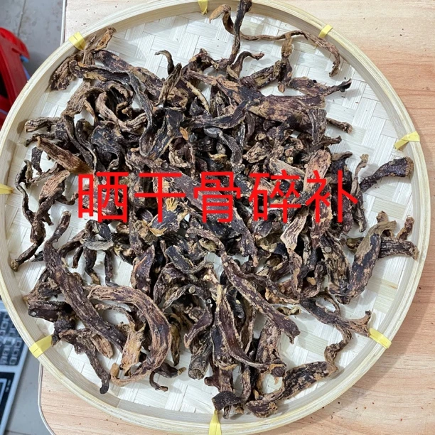 野生新鲜马骝姜骨碎补猴姜爬岩姜晒干100g