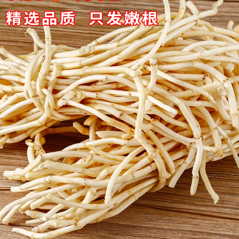 新鲜折耳根节节根凉拌鲜嫩根清脆云贵川湖北特产鱼腥草节儿根盐渍