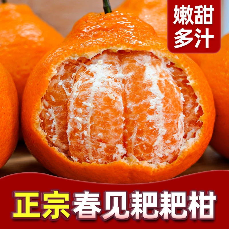 正宗春见耙耙柑四川优质粑粑柑当季新鲜水果整箱丑橘产地直发2斤