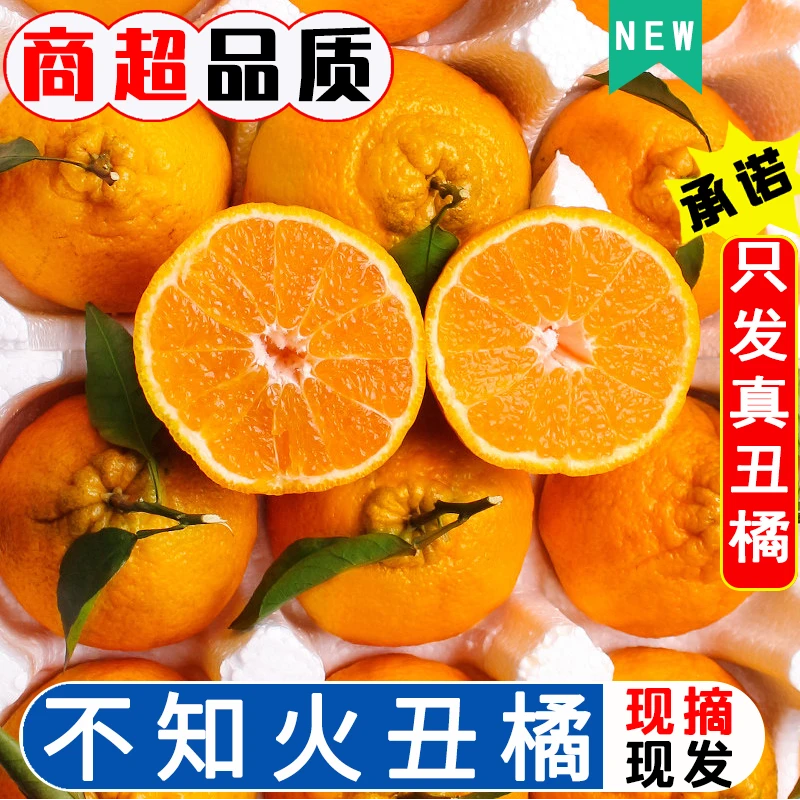 【真丑橘】丑橘不知火四川柑橘桔子水果耙耙柑应季采摘产地直发2斤