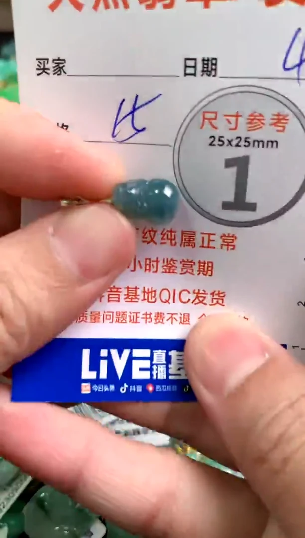 【闪购商品】翡翠颈饰未镶嵌4