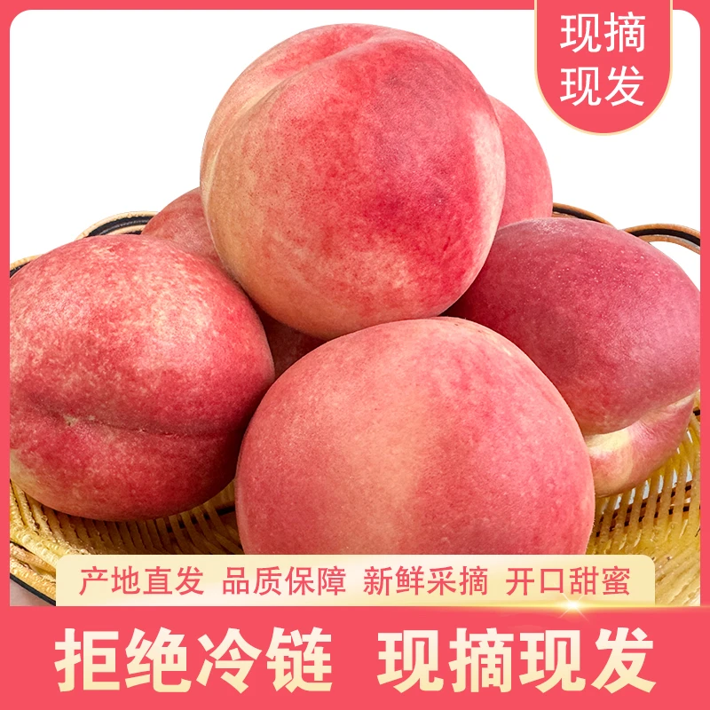 脆蜜桃山西运城正宗脆桃新鲜采摘脆甜水蜜桃水果3斤夏日尝鲜桃子