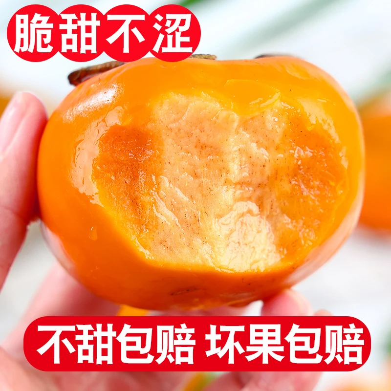 正宗阳丰脆柿子新鲜水果应季巧克力脆甜柿子糖心4.5-5斤产地直发