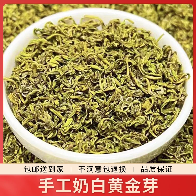【手工黄金芽】【六】2024年鲜爽耐泡豆香浓郁精选绿茶