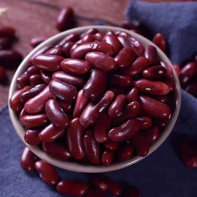 云南特产正宗红腰豆原味高原农家红豆煮汤熬粥豆沙杂粮红芸豆现收
