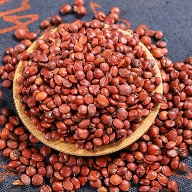 【酸-枣-仁】云南农家现收原料酸-枣-仁生晒干净无杂质50克泡水