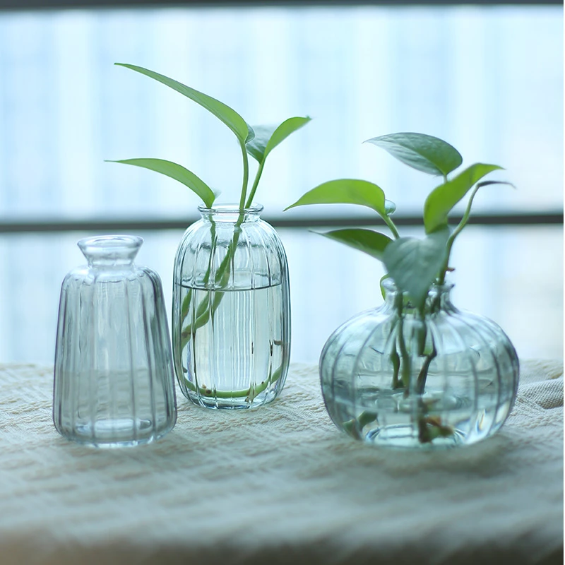 【三件套】玻璃花瓶办公桌面摆件装饰花瓶插花花瓶套装in创意家居