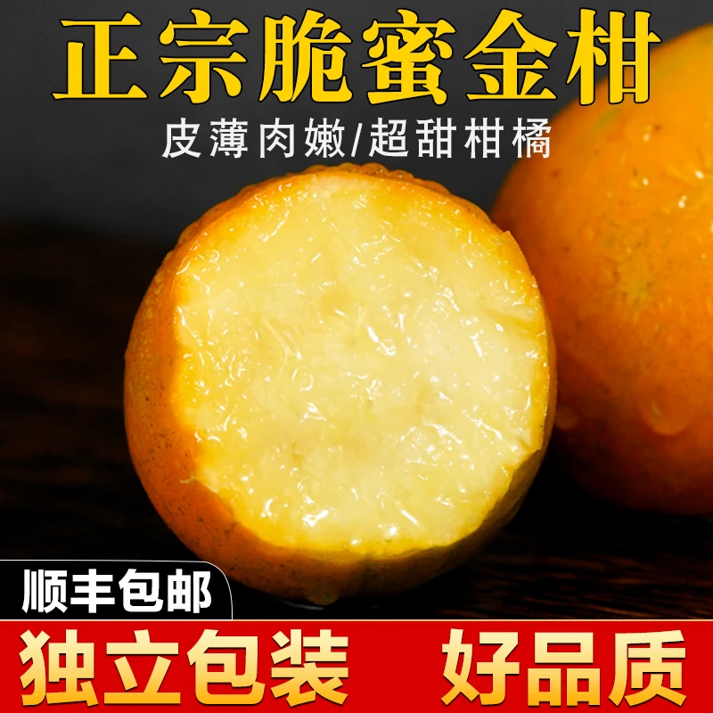 正宗纯甜脆蜜金柑广西第三代金桔新鲜现摘当季水果顺丰包邮500g