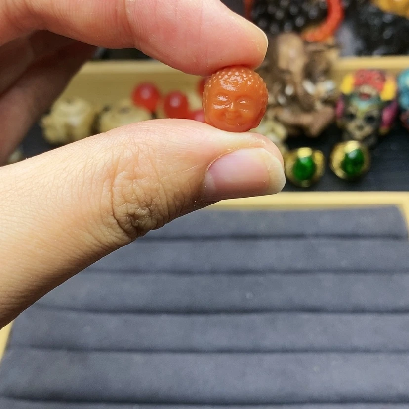 【闪购商品】贝雕贝雕