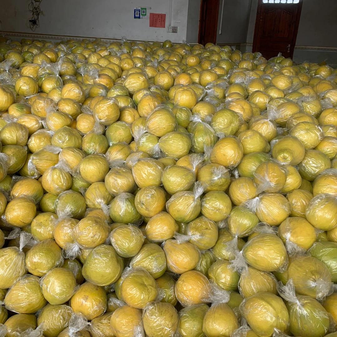 永州江永五香之一香柚