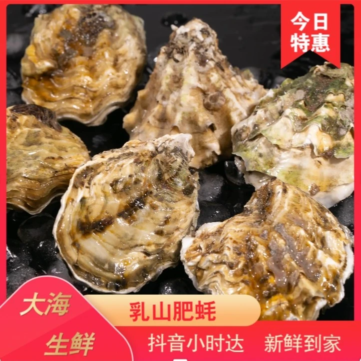 乳山鲜活4+生蚝.（保鲜不保活 建议勿拍）25元3斤