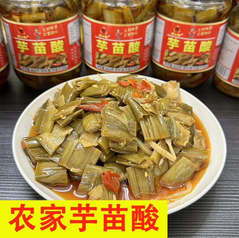 芋苗酸广西特产酸菜下饭菜酱菜批发新鲜芋苗鲜嫩开胃菜开盖即食