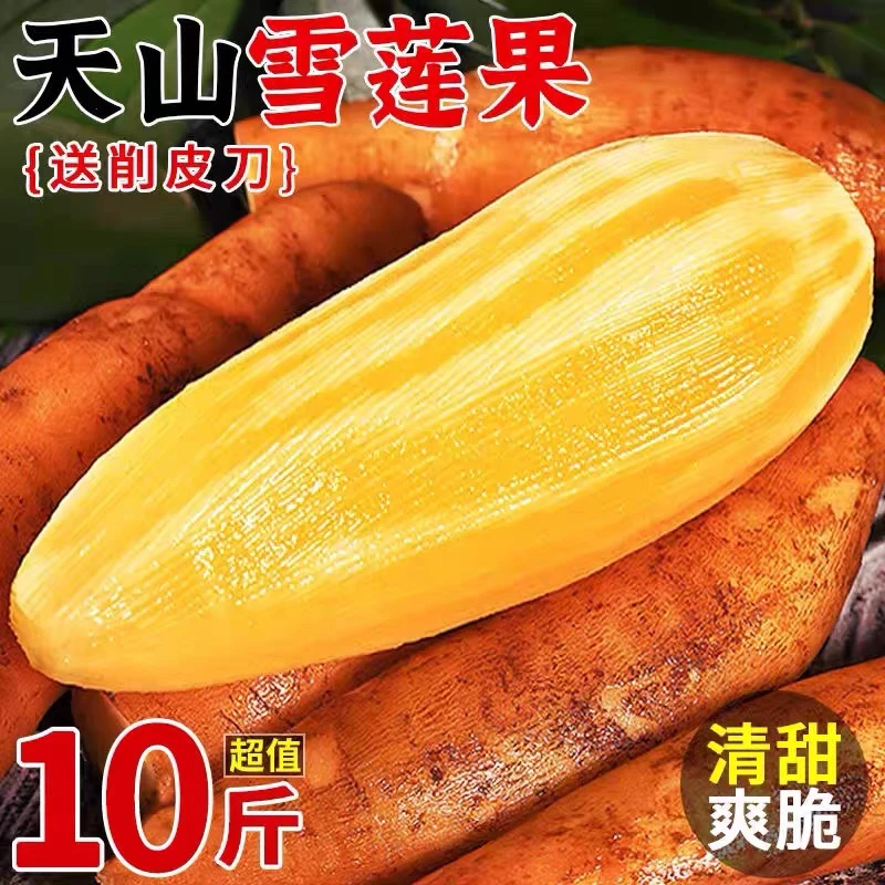 云南天山雪莲果10斤新鲜水果当季现挖脆甜红心雪连果时令脆甜多