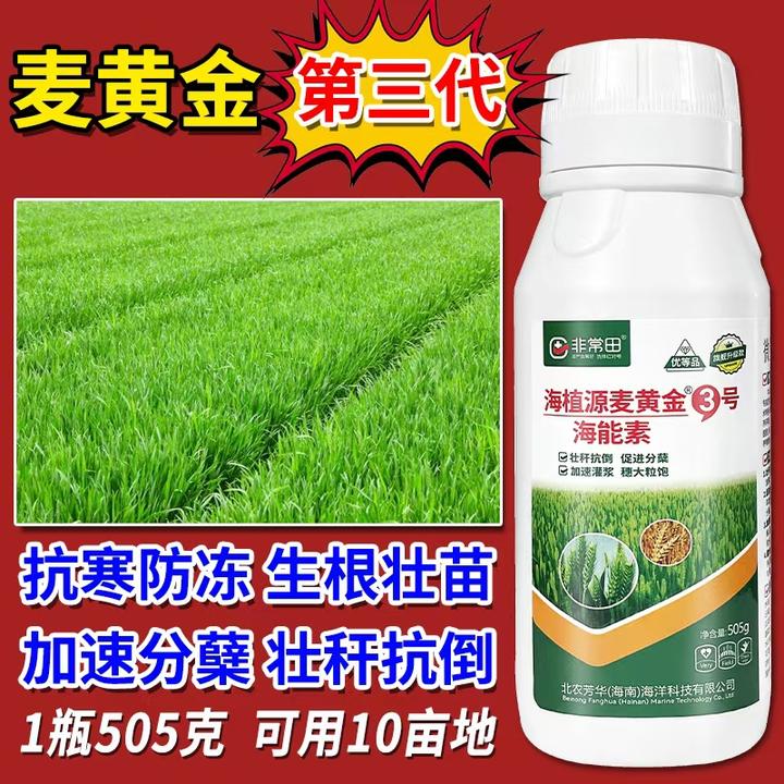麦黄金小麦专用抗寒防冻生根壮苗促分蘖抗逆抗倒穗大粒饱叶面肥料
