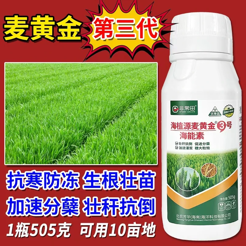麦黄金小麦专用抗寒防冻生根壮苗促分蘖抗逆抗倒穗大粒饱叶面肥料