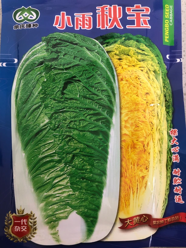 小雨秋宝杂交白菜种子