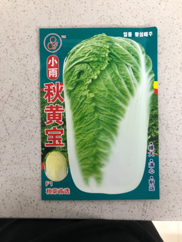小雨秋黄宝
