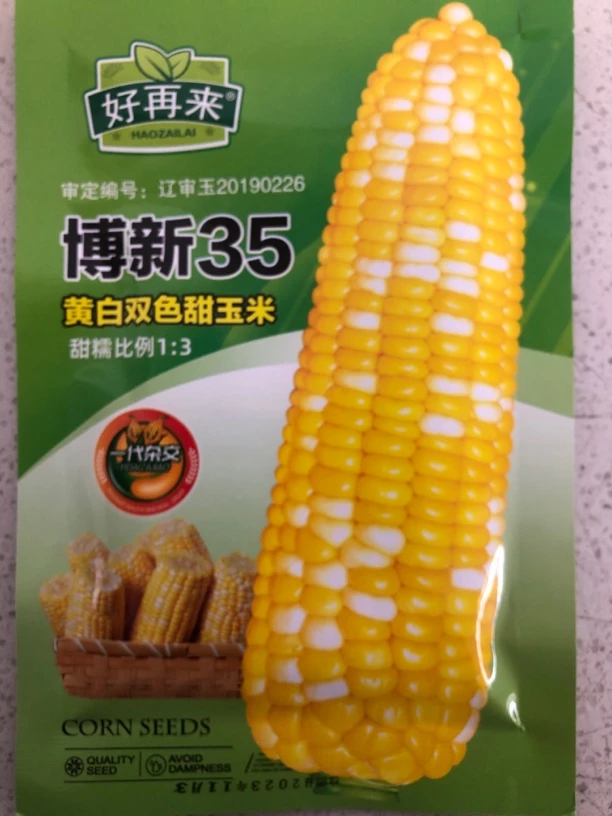 博新双色甜粘水果玉米