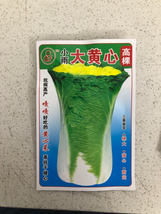 小雨大黄芯白菜籽