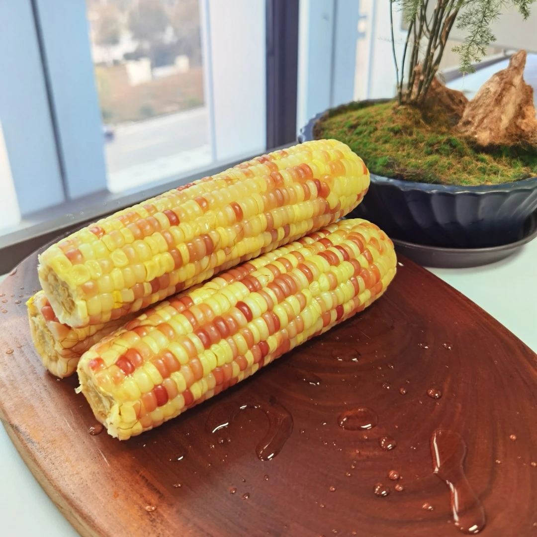 【软糯好吃】0添加花糯玉米真空包装低脂代餐蒸煮软糯香甜速食新鲜