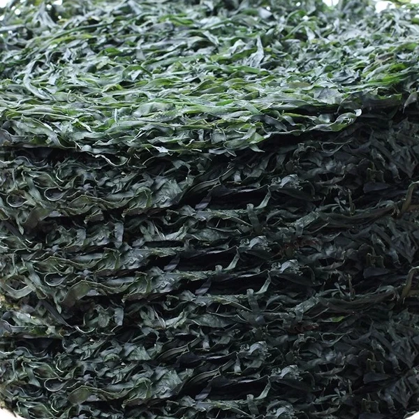 特级福建霞浦压缩烘干净新鲜干海带丝 免洗海带丝干货鲜藻类500克