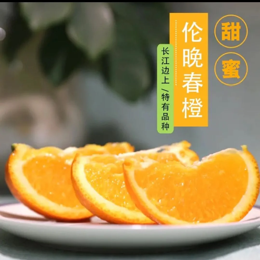 湖北秭归伦晚春橙核心产区脐橙快递现发新鲜纯甜水果3斤5斤8斤