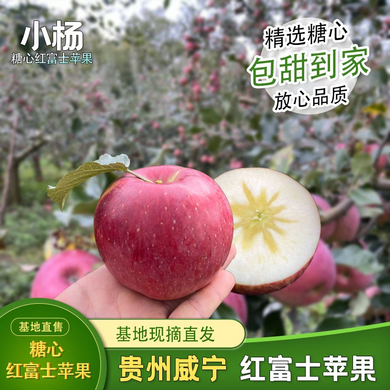 贵州威宁糖心红富士苹果冰心脆甜多汁清甜可口