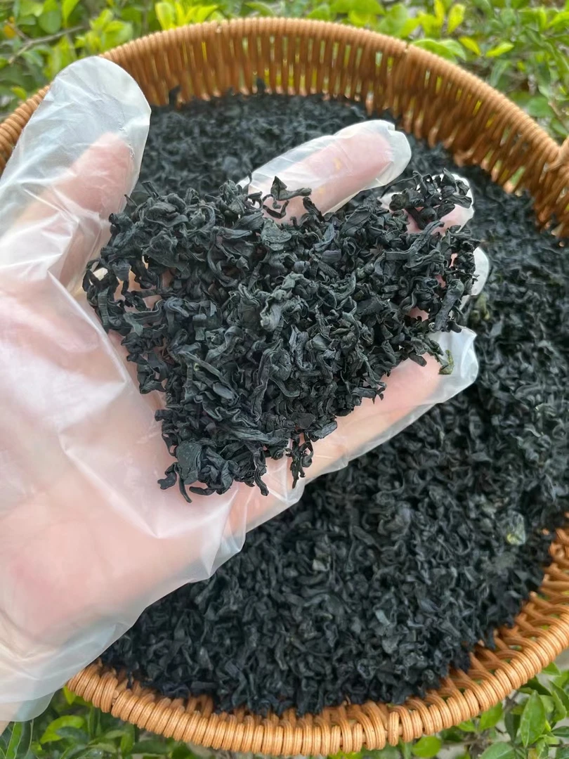 福建干裙带菜干货250g海带芽丰富海藻菜非螺旋藻食材煲汤