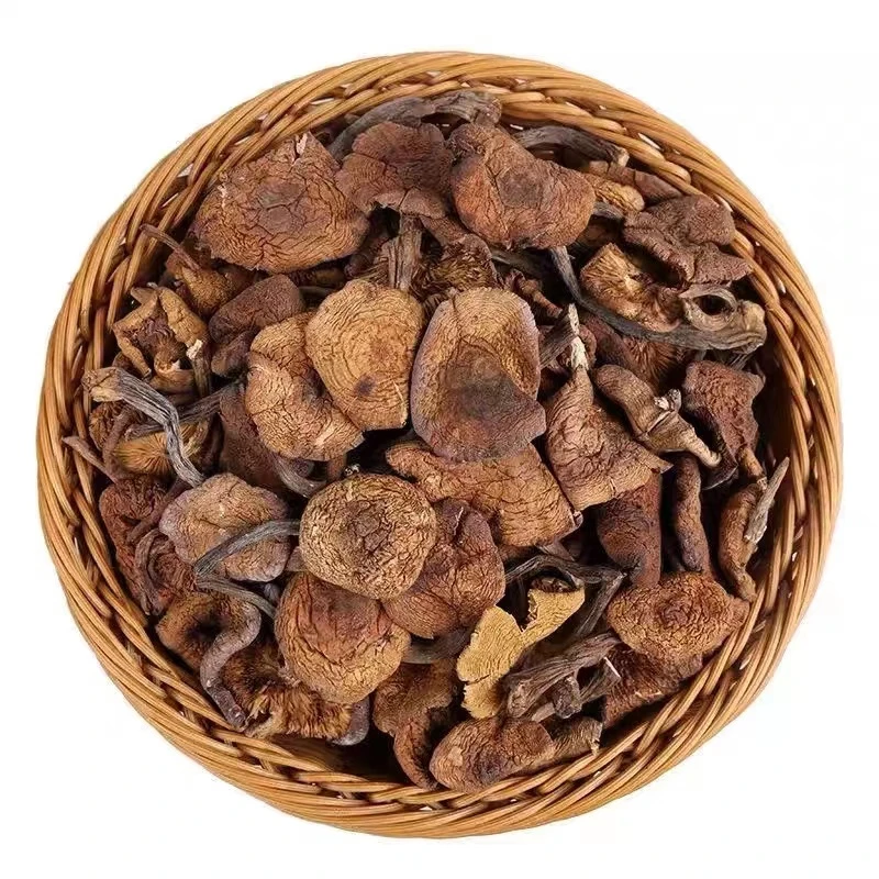 长白山榛蘑250g-500g