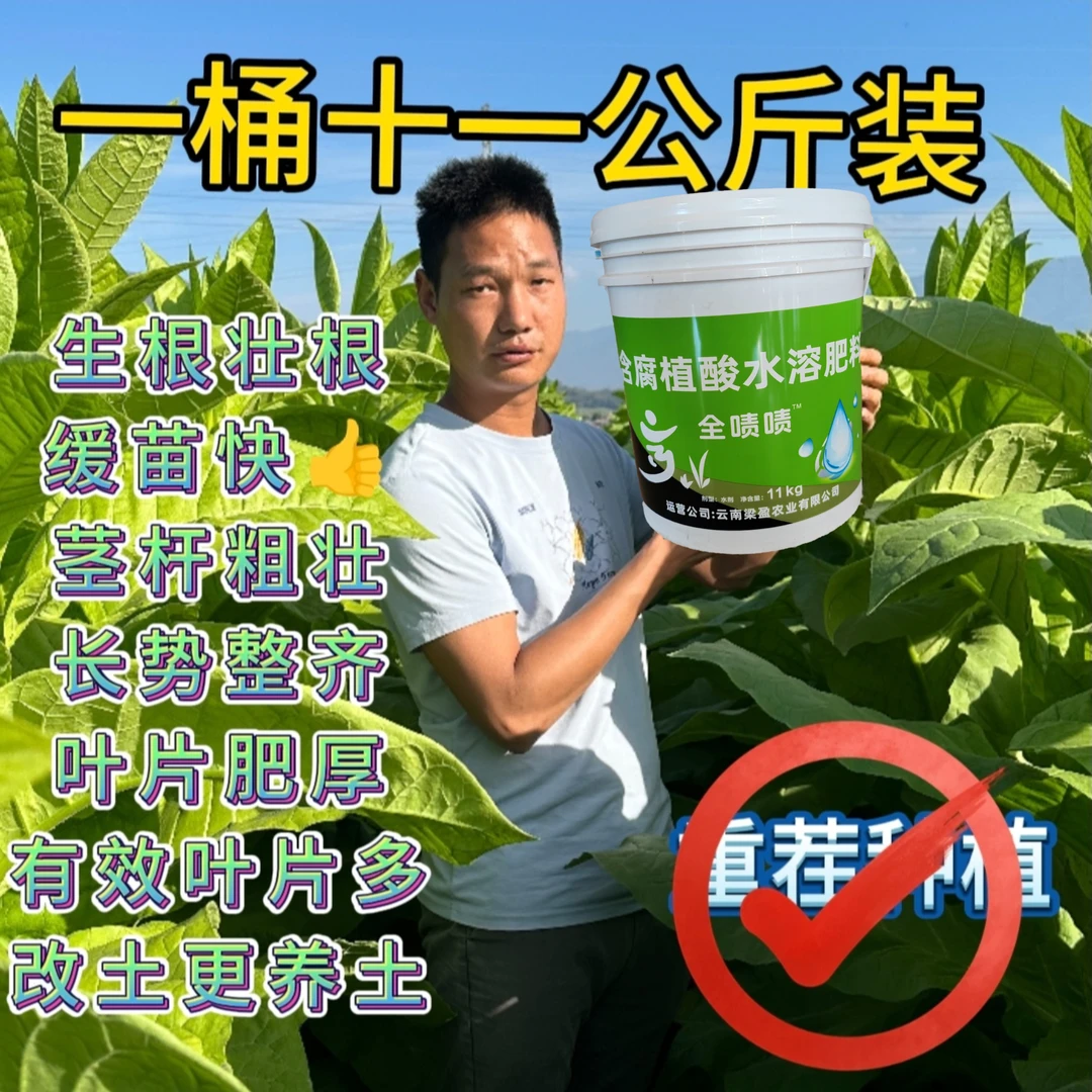 全啧啧烤烟腐植酸水溶肥快速生根11公斤/桶/11亩地
