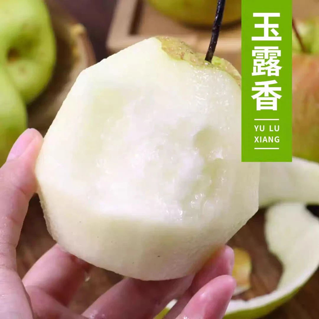 【达吾水果】玉露香梨18斤起（同城骑手配送到家）