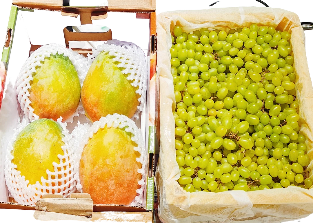 【达吾水果】凯特芒果大果1件+马奶提1件特惠尝鲜装（同城骑手配送到家）