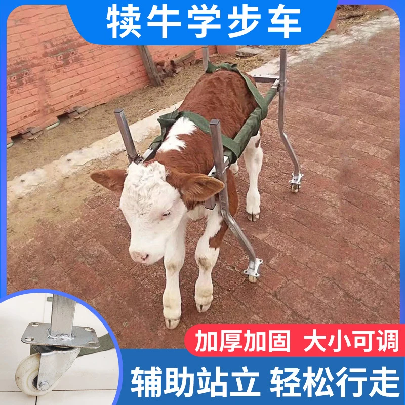 犊牛学步车小牛专用新生牛犊学步车助步车小牛康复车犊牛起立架