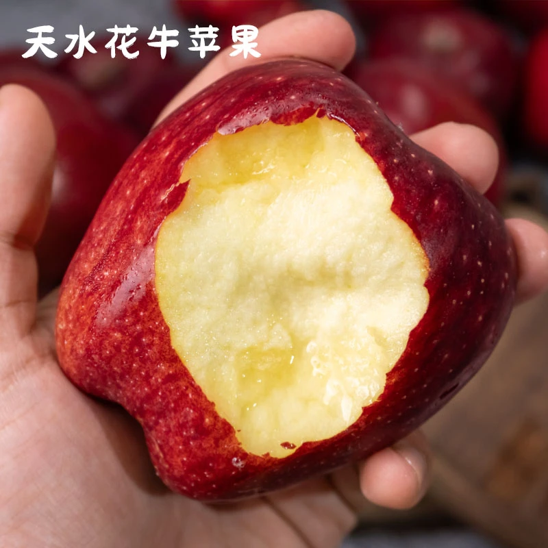 每天水果优选甘肃天水花牛苹果新果红蛇粉面脆甜辅食当季新鲜整箱