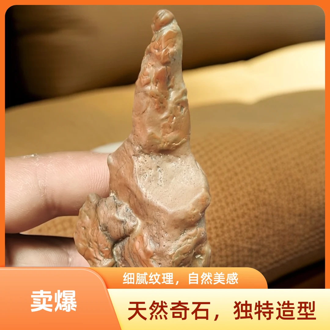 内蒙阿拉善戈壁奇石