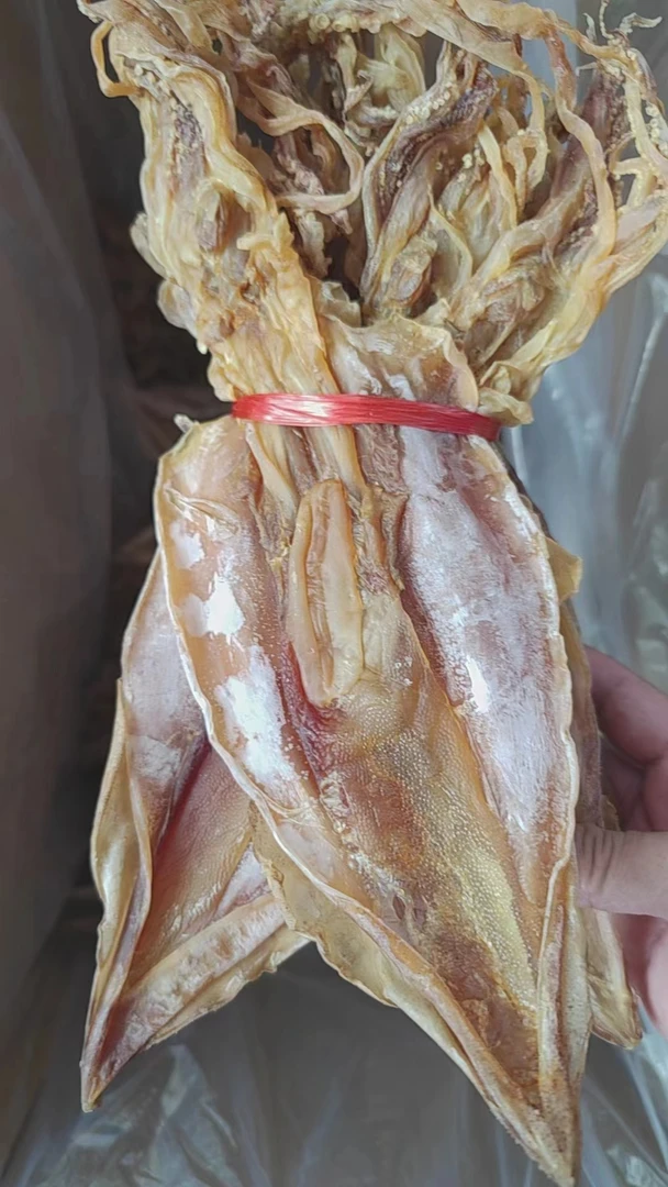 小岞手釣鱿鱼母500g