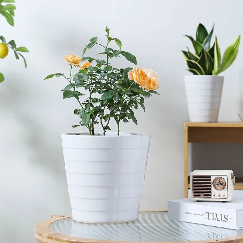 白色简约花盆家用陶瓷客厅阳台种花绿植兰花大号盆栽桌面蝴蝶兰盆