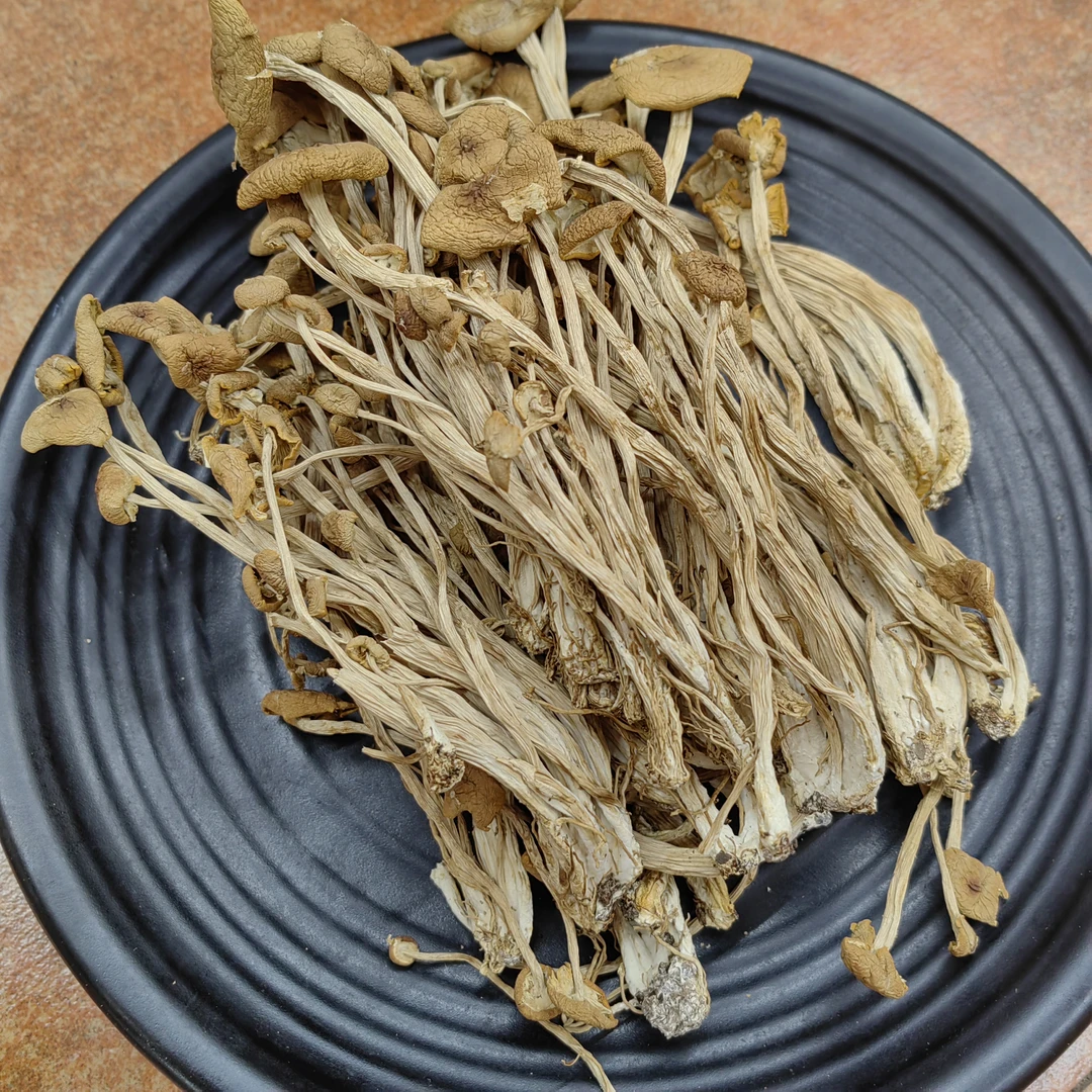 煲汤香香的茶树菇100g，250g，500g