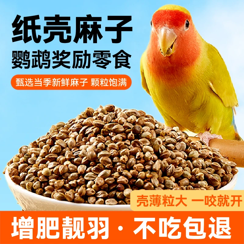 布卡星鹦鹉薄皮纸壳麻子玄凤牡丹和尚低脂高蛋白奖励零食带壳鸟食