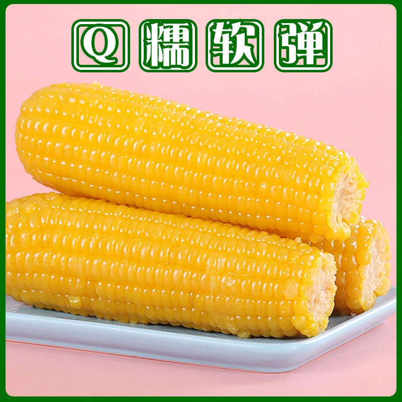 试吃2只 发12+2只【福利共14支】 24年新黄糯玉米 每只都真空包装